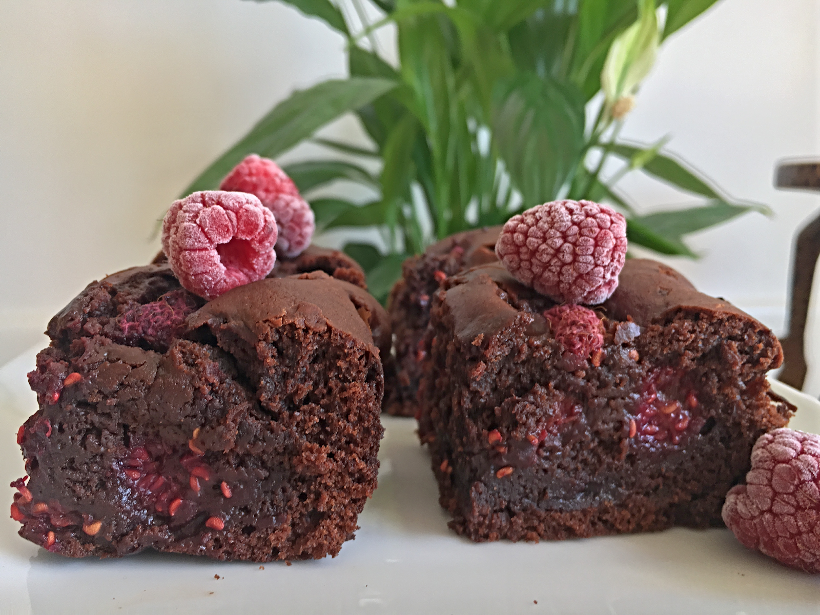 Vegan Raspberry Brownies