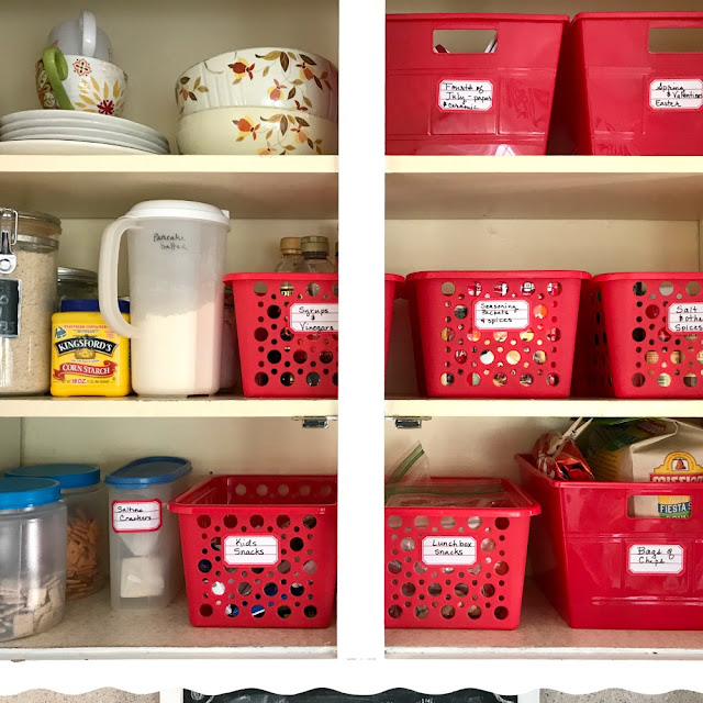 dollar tree, organization