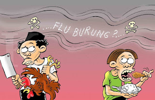 isu flu burung