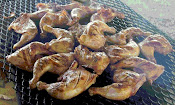 BBQ'd Chicken