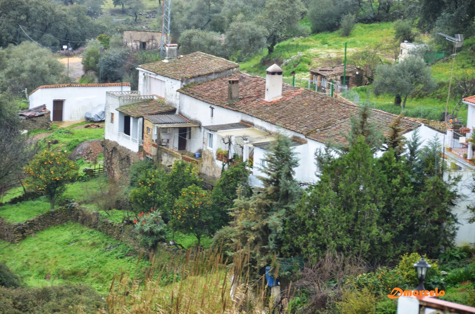 El doblao de Cumbres Santa Ana La Real
