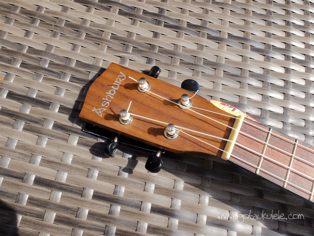 Ashbury AU50 Concert Ukulele REVIEW