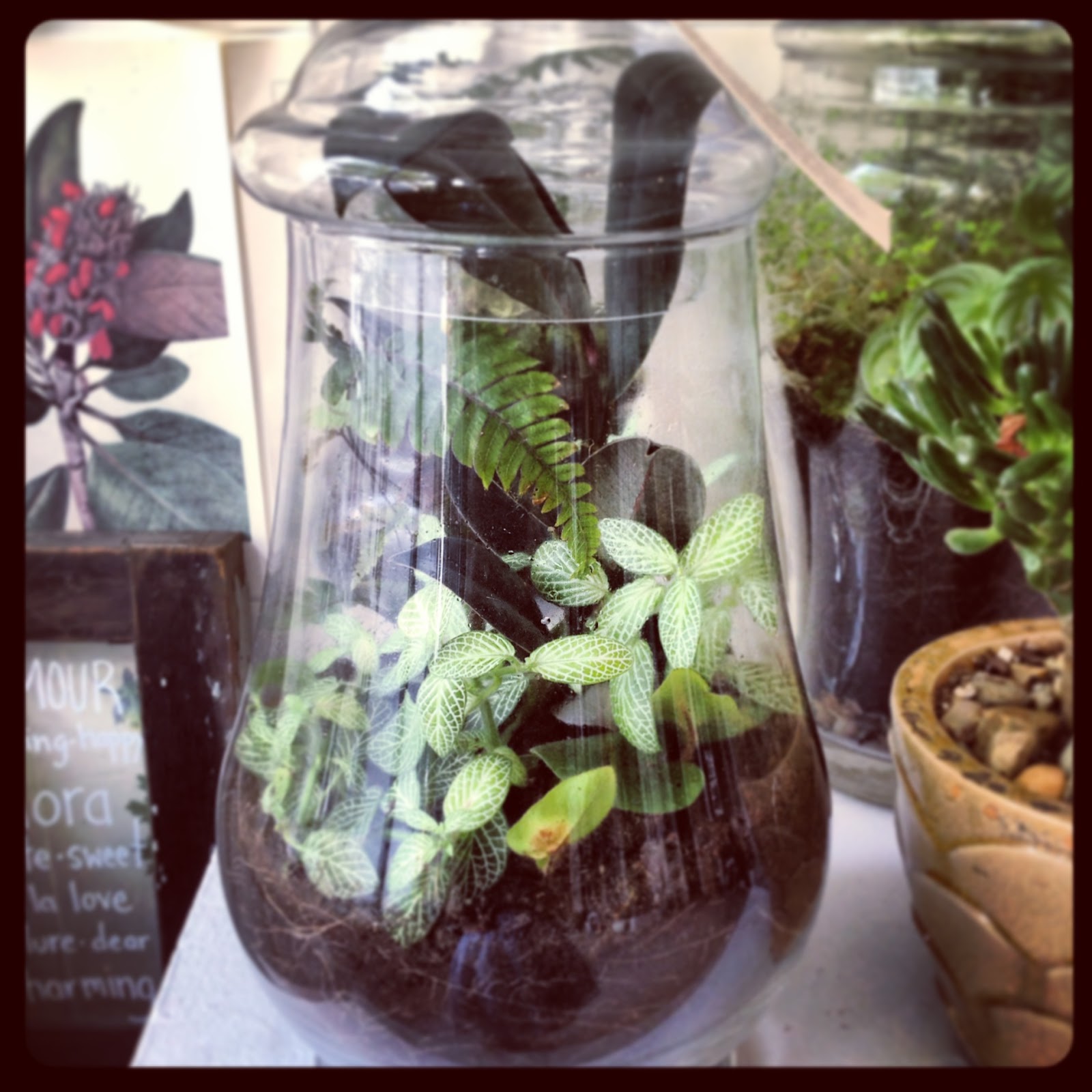 f l o r a Terrarium Building September 30th!