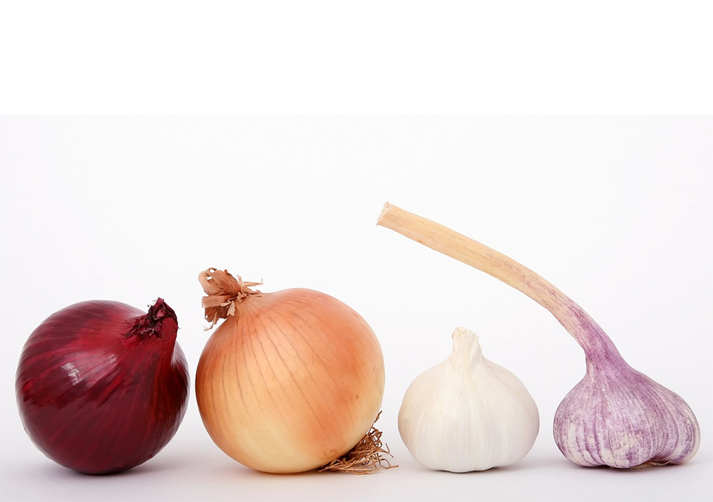 Shallots and Leeks: Lesser Known Onion Cousins - Organic Gardening