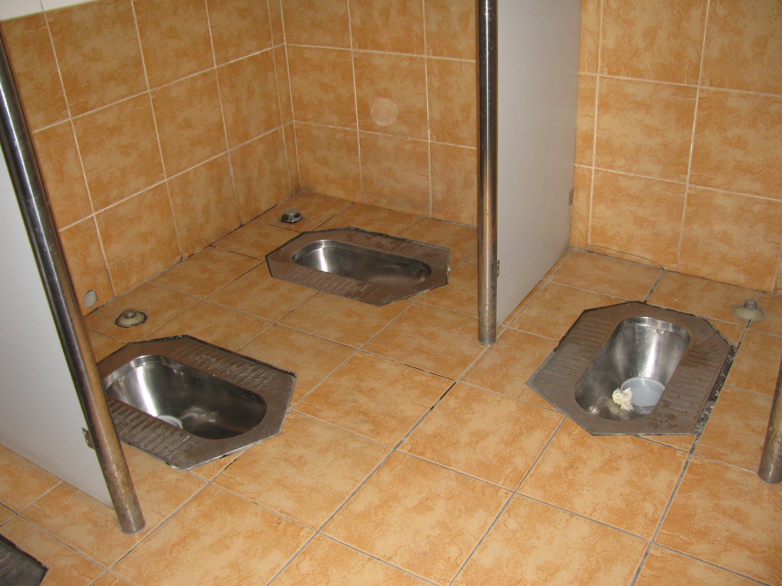 A Proud Canadian's Writing Chinese Toilets