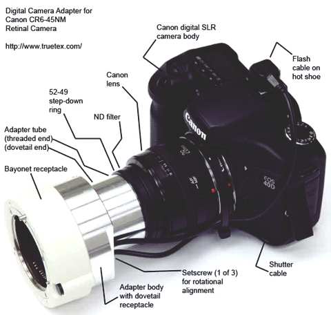 digital-camera Gambar digital camera body purpose