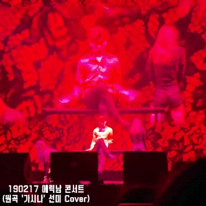 4.gif