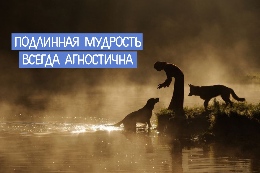 Истинная мудрость. Мудрость заключается в том. Медитация в горах. Философские картинки. Истинная мудрость есть.