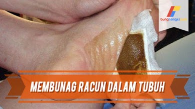 Cara Sederhana Membuang Semua Racun di Dalam Tubuh Cara Sederhana Membuang Semua Racun di Dalam Tubuh