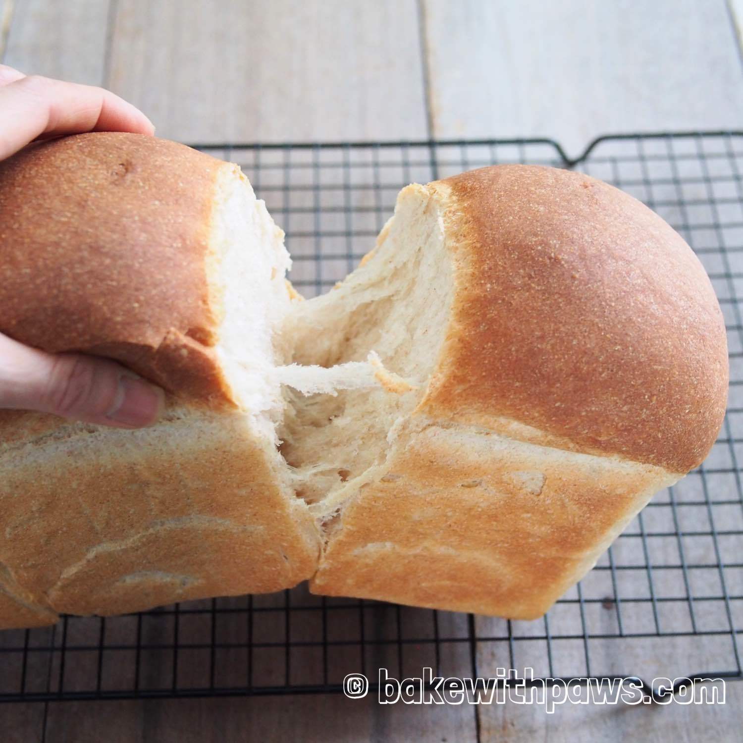 Soft Sourdough Bread with Yudane Method BAKE WITH PAWS
