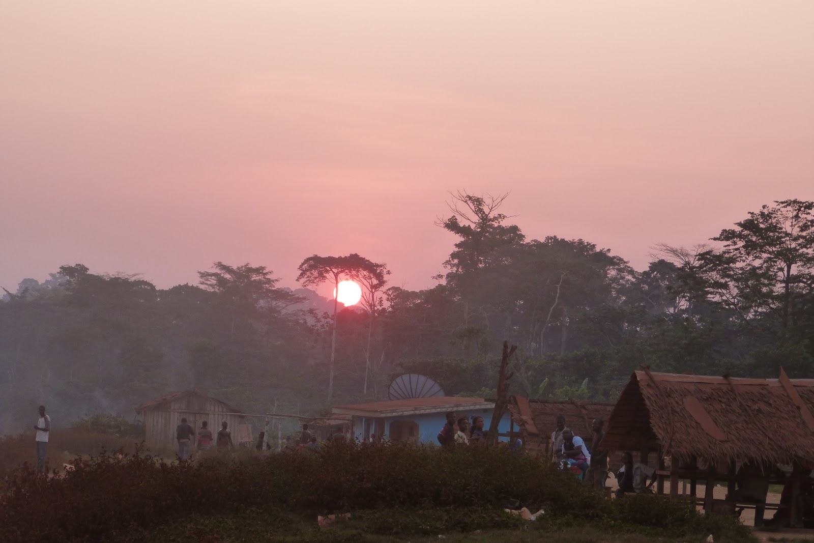 MOKELE - MBEMBE EXPEDITIONS: Photos de notre expédition de décembre ...