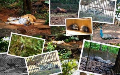 Bondla Wildlife Sanctuary, Ponda Goa