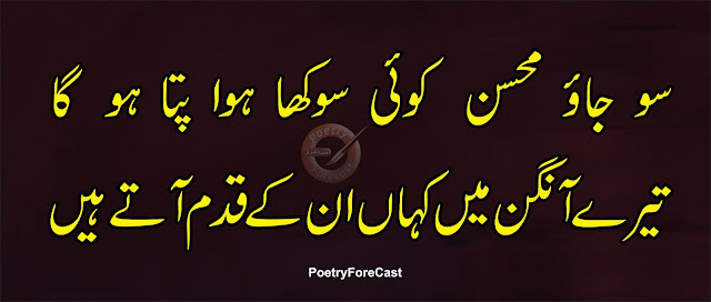 So Jao Mohsin Koi Sookha Hoa Patta Urdu Poetry
