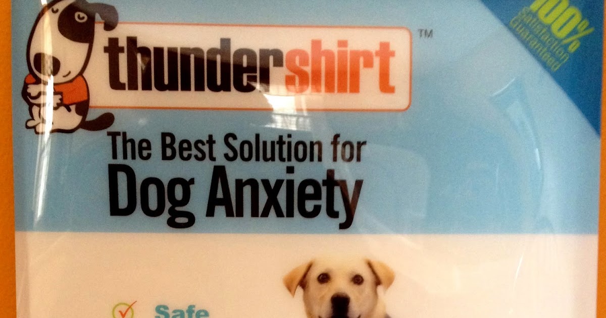 The Pet Parade The Thundershirt Calmed My Dog during Fireworks