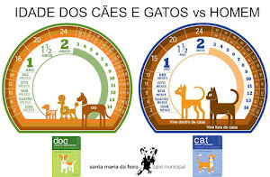 Idade dos Cães e Gatos vs Homem
