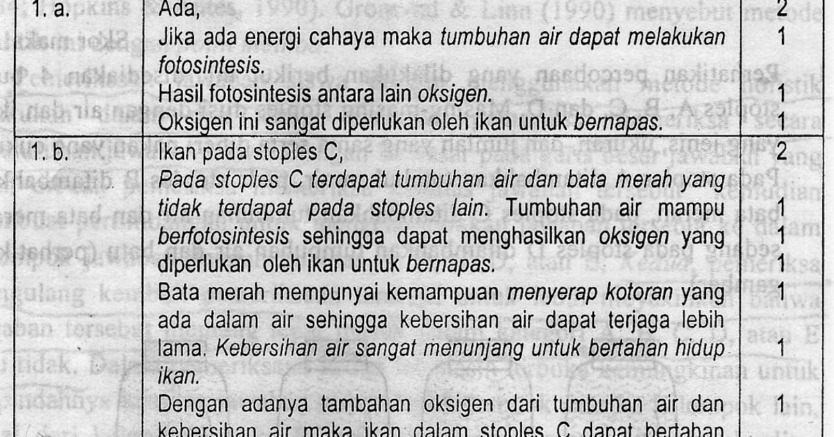 Contoh Soal Uraian Bebas Murid Santuy Contoh Soal Uraian Bebas Murid Santuy