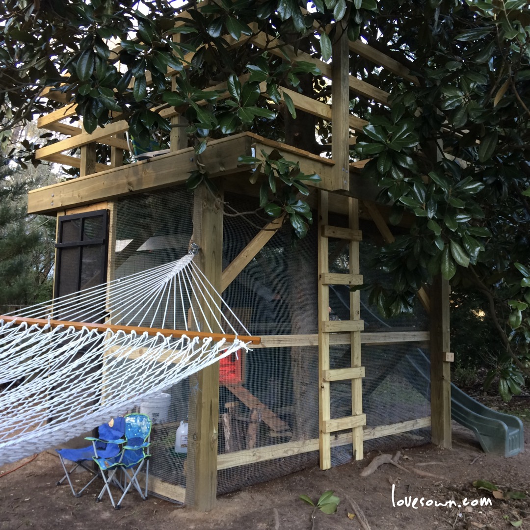 Treehouse Chicken Coop Love Sown