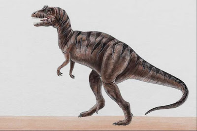 αρχαιότερα κόκαλα δεινοσαύρων που χρονολογούνται από τον άνθρακα dating ιστοσελίδα GERALDTON