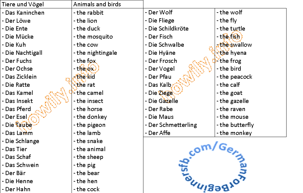 175 Best Deutsche Sprache Images In 2020 German Language Learning German Grammar Learn German