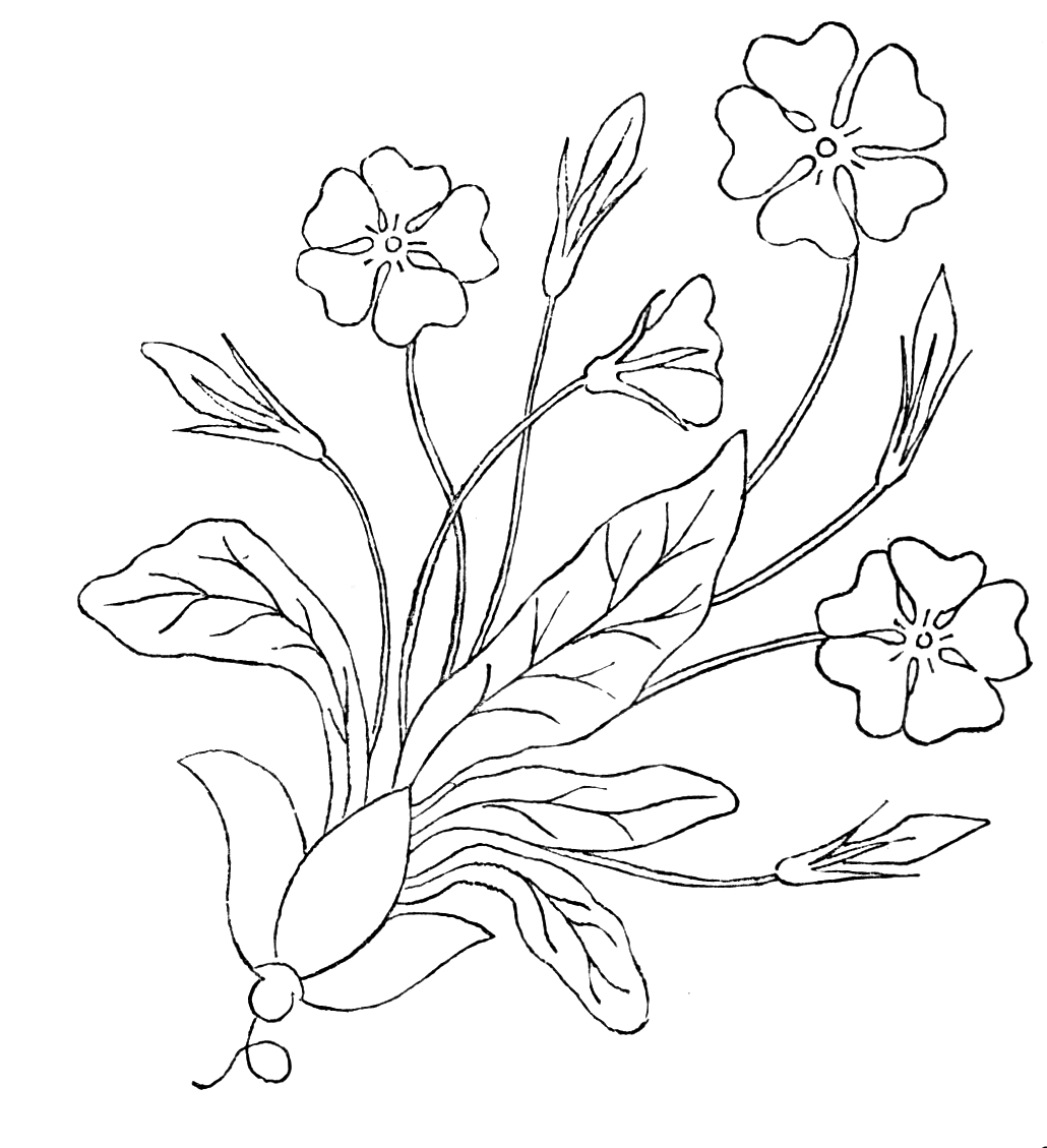 digital-two-for-tuesday-1882-needlework-patterns