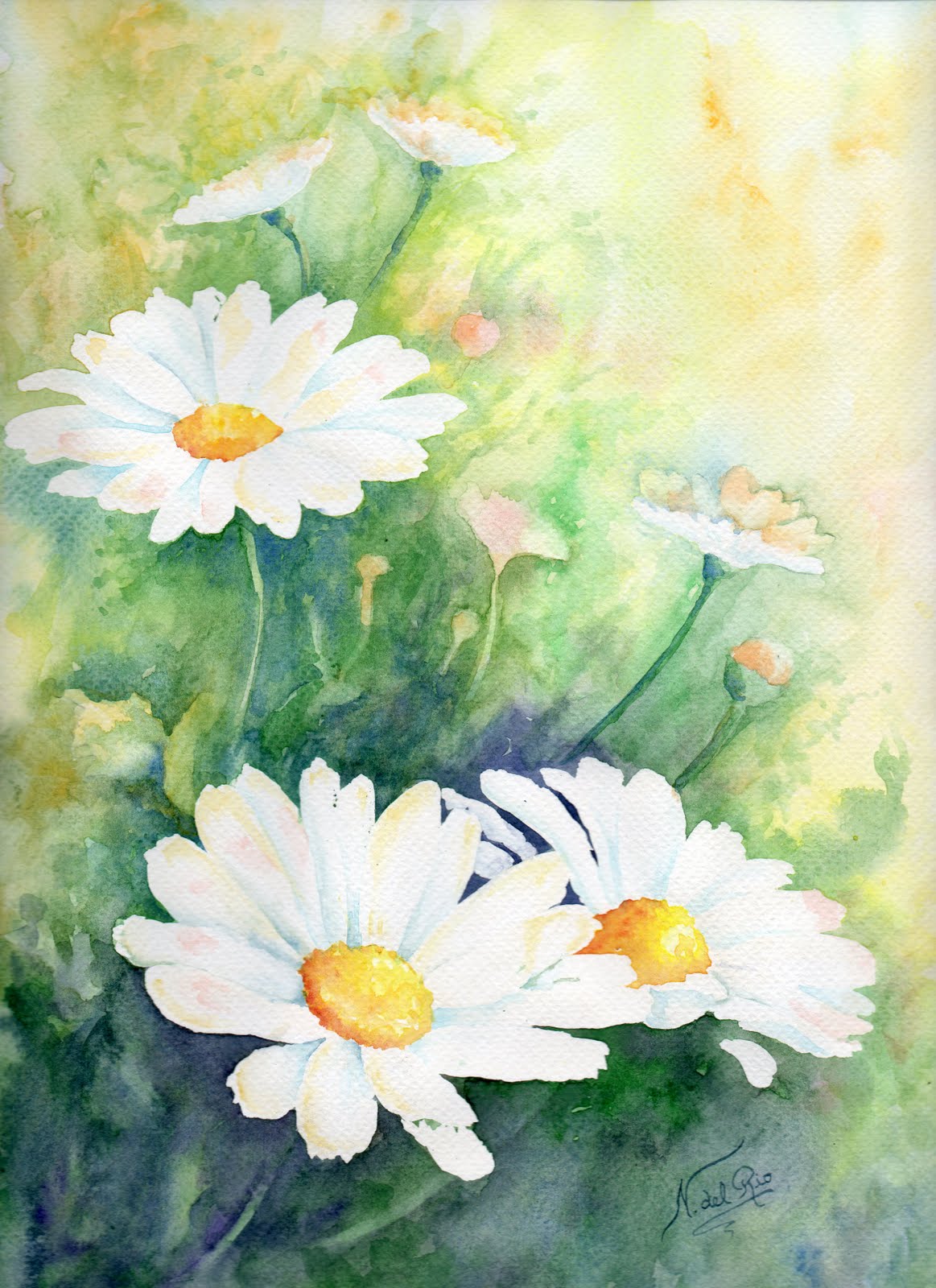 Norma del Rio Obras Acuarelas