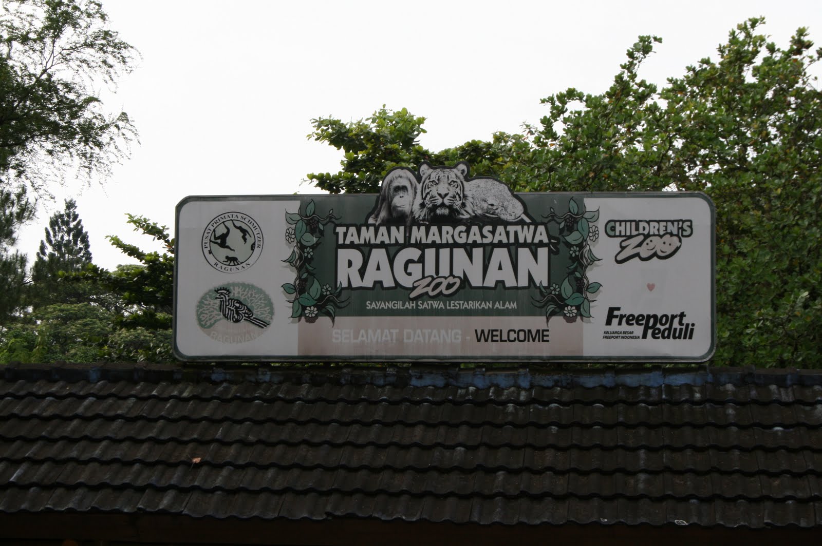 Domestic Goddess Travels: Ragunan Zoo Jakarta