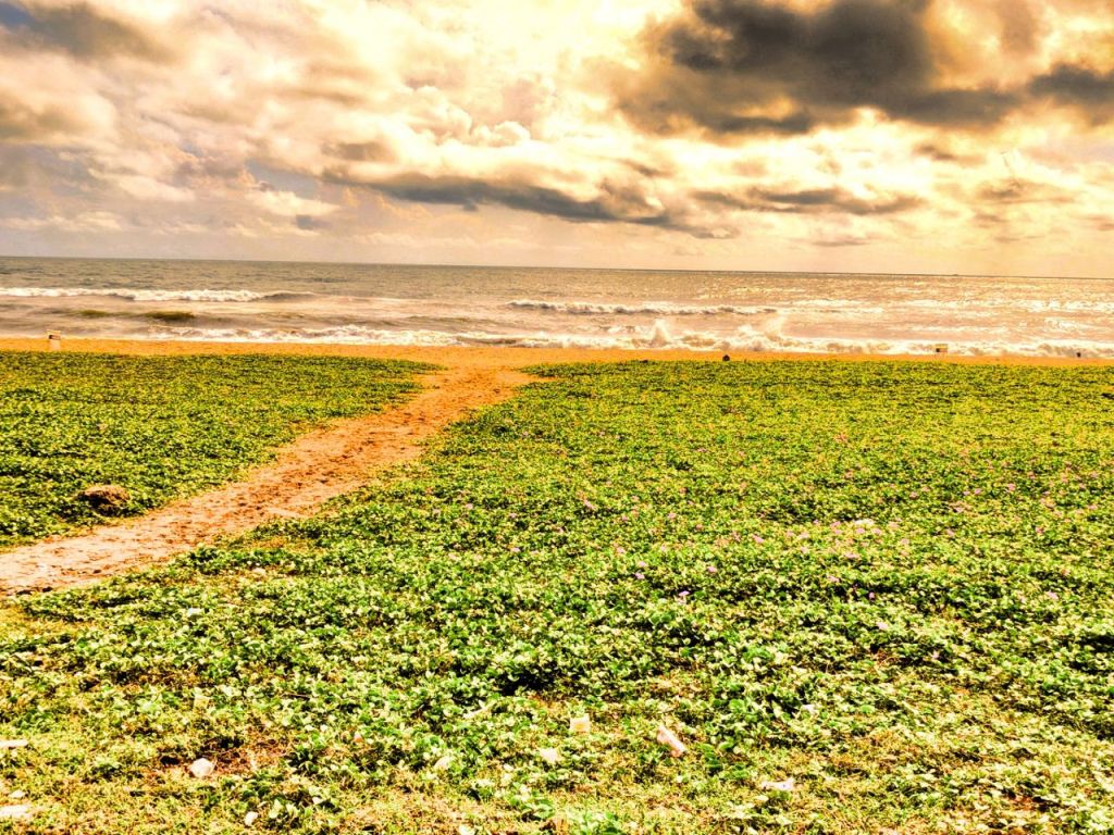 Tamilnadu Tourism: Thiruvanmiyur Beach (Breezy Beach), Chennai