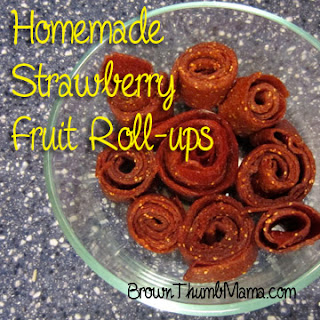 homemade strawberry fruit leather in bowl