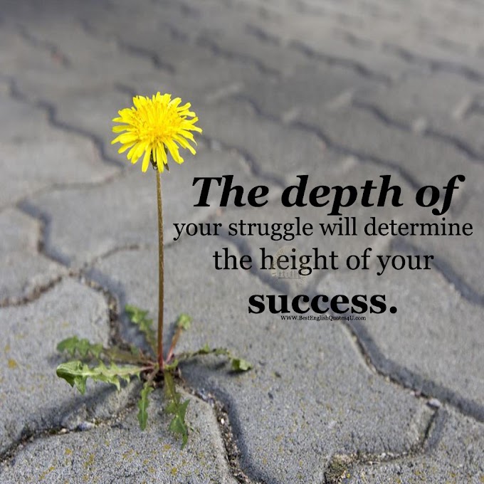 The depth of your struggle will determine the height of ...