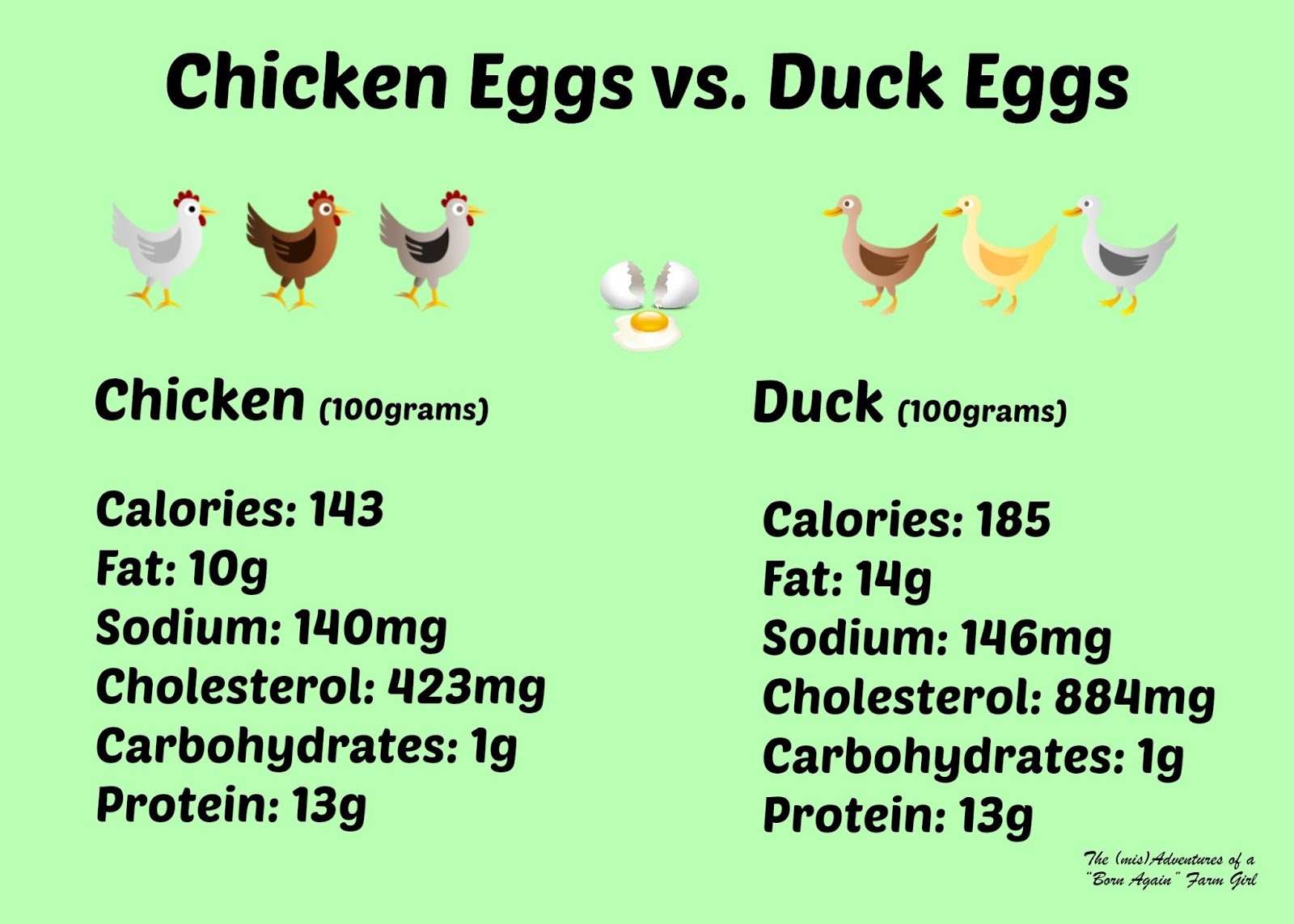 Chicken Eggs vs. Duck Eggs.