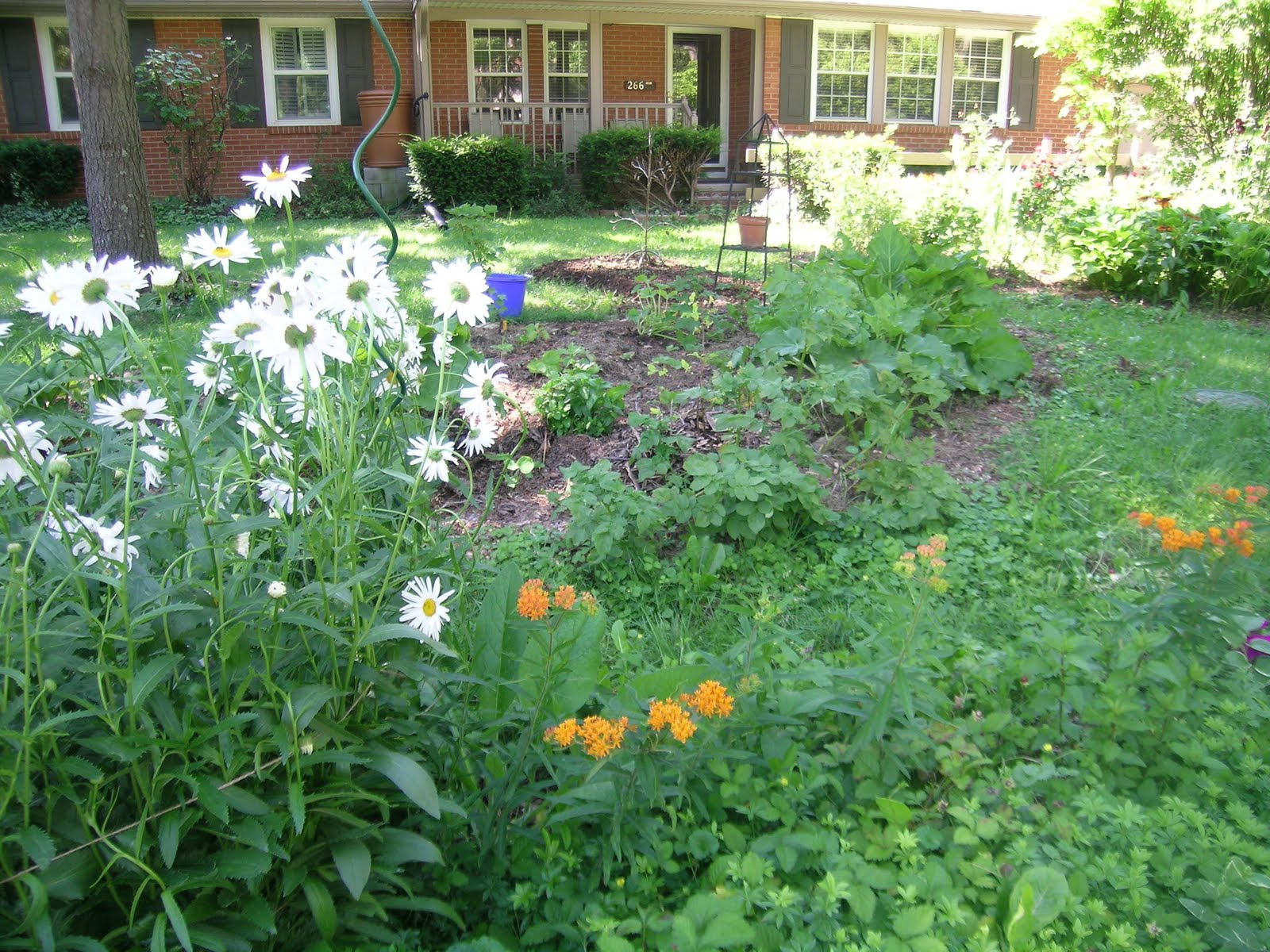 Finding Our Family Footprint: Front Yard Edible Garden