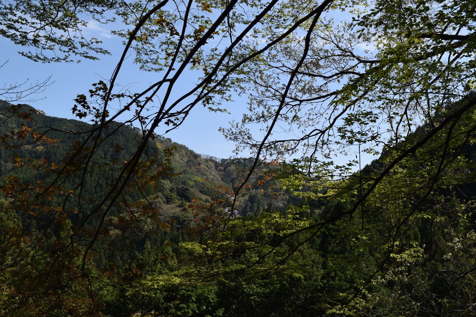 Japan nature