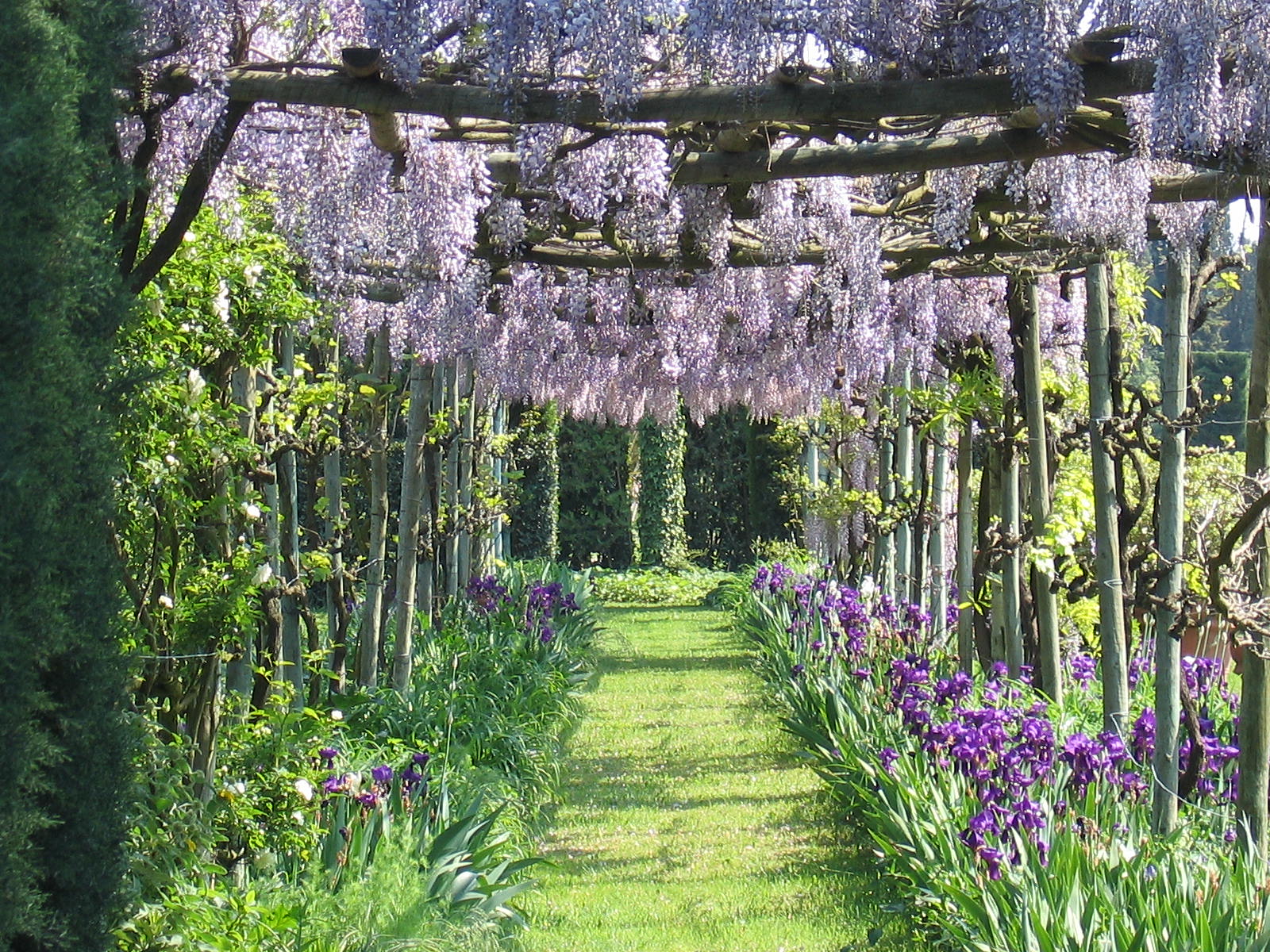 Dankzegging dump Oppervlakte The Provence Post: Five Gorgeous Provence Gardens to Visit