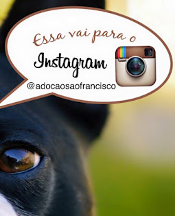 Siga-nos no Instagram