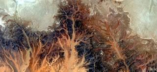 Autumn Stone tree plant fantasy,Abstract Naturalism,abstract photography deserts of Africa from the air,abstract surrealism,mirage in desert,fantasy forms and colors in the desert,flowers,leaves,roots Autumn Stone tree plant fantasy,Abstract Naturalism,abstract photography deserts of Africa from the air,abstract surrealism,mirage in desert,fantasy forms and colors in the desert,flowers,leaves,roots