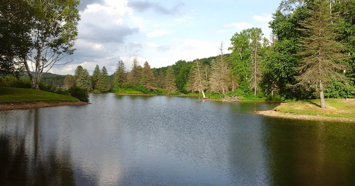 Best Places To Live In Otto New York vrogue.co