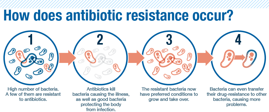 resistencia-bacteriana-como-ocorre