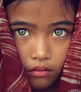 What's the Diehl?: Bellissima
