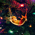 Wallpapers de Navidad - Feliz Navidad - muñeco tomando una siesta en hamaca 