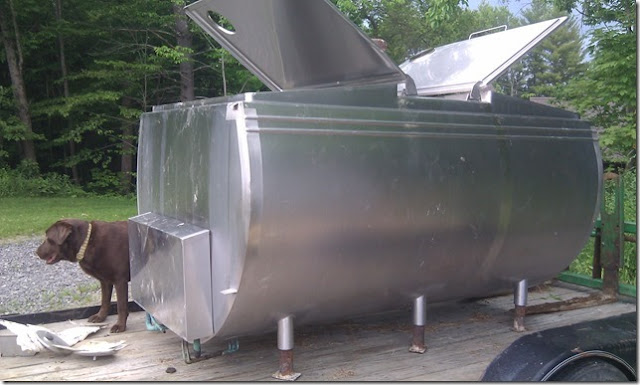 froling fhg boiler beside a dog