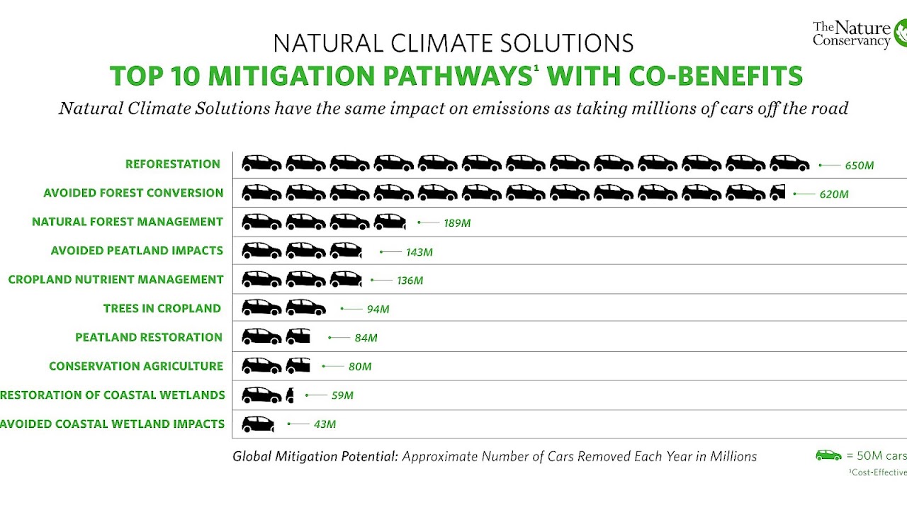 Number Of Trees Cut Down Each Year Tree Choices