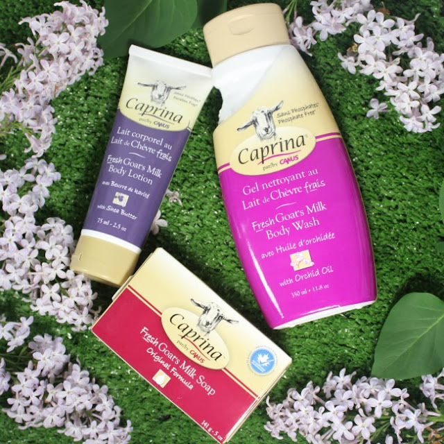 Beauty Vixen Caprina by Canus Goat's Milk Skin Care Products Reivew