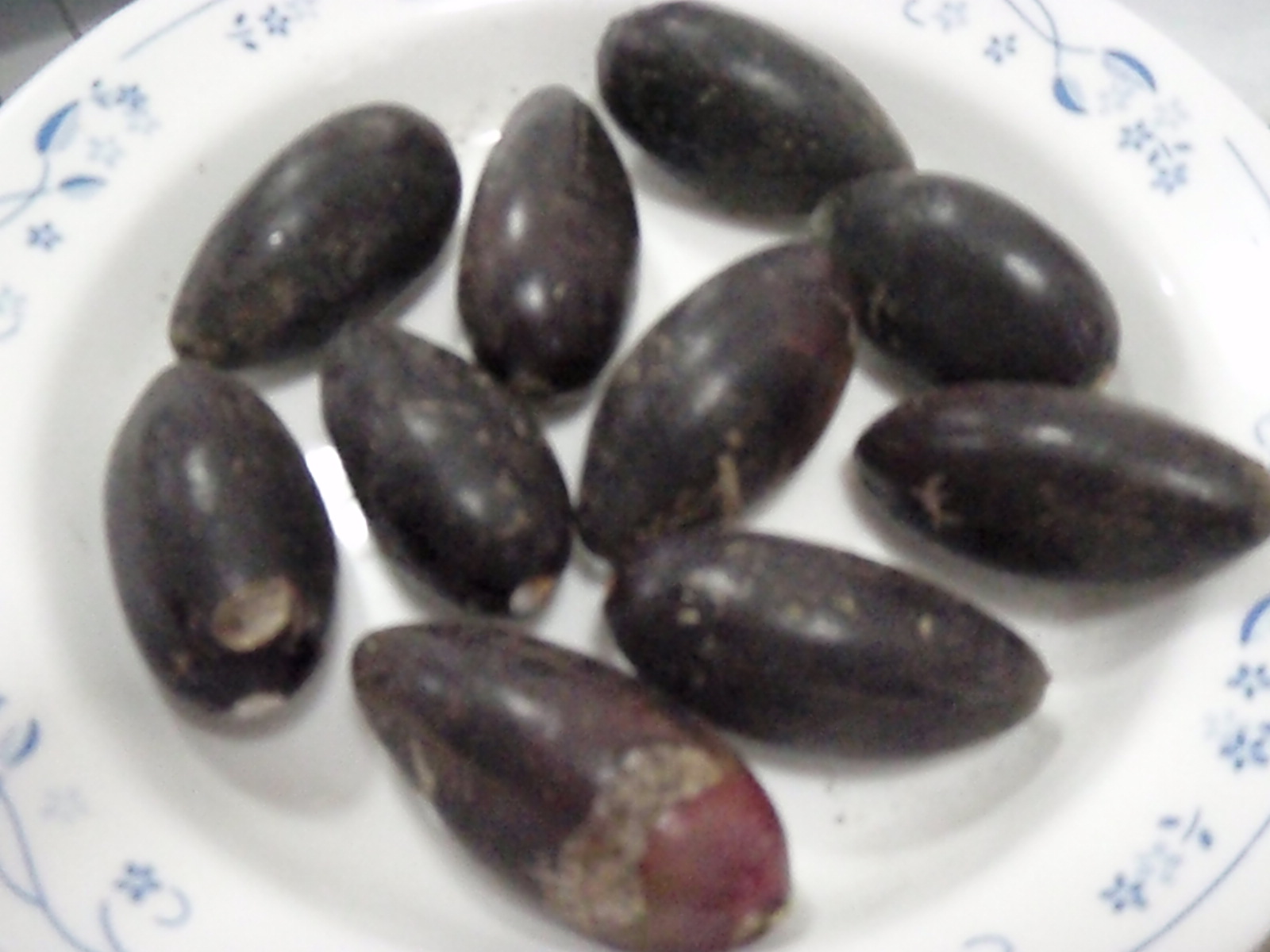 The Pili Nut Noelizm