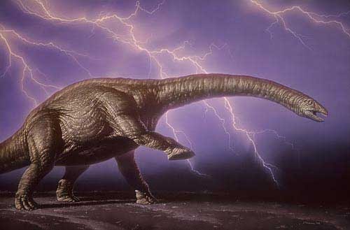 types of dinosaurs brontosaurus
