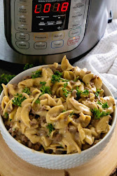 pot instant friendly kid recipes amazing cooker stroganoff hamburger pressure dry