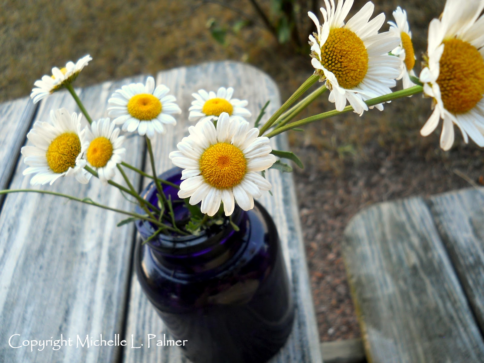 Michelle Palmer Daisies & Sweet Peas...