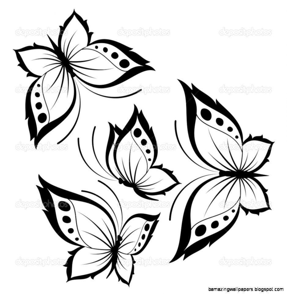 Beautiful Drawings Of Butterflies