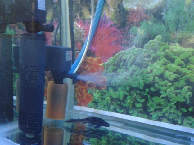 Rekomendasi Filter Aquarium Ukuran 60cm Murah Ikanesia Id