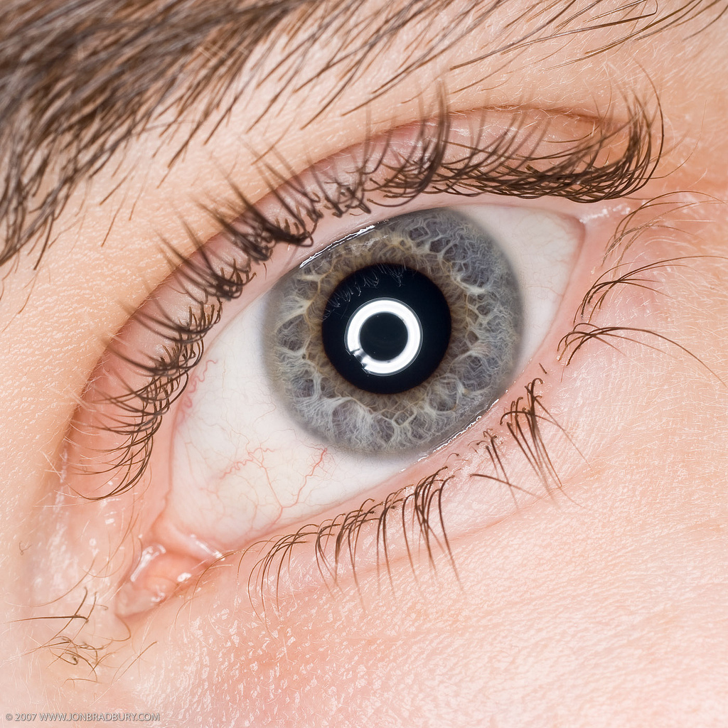 thomasdawson catch light and fill flash