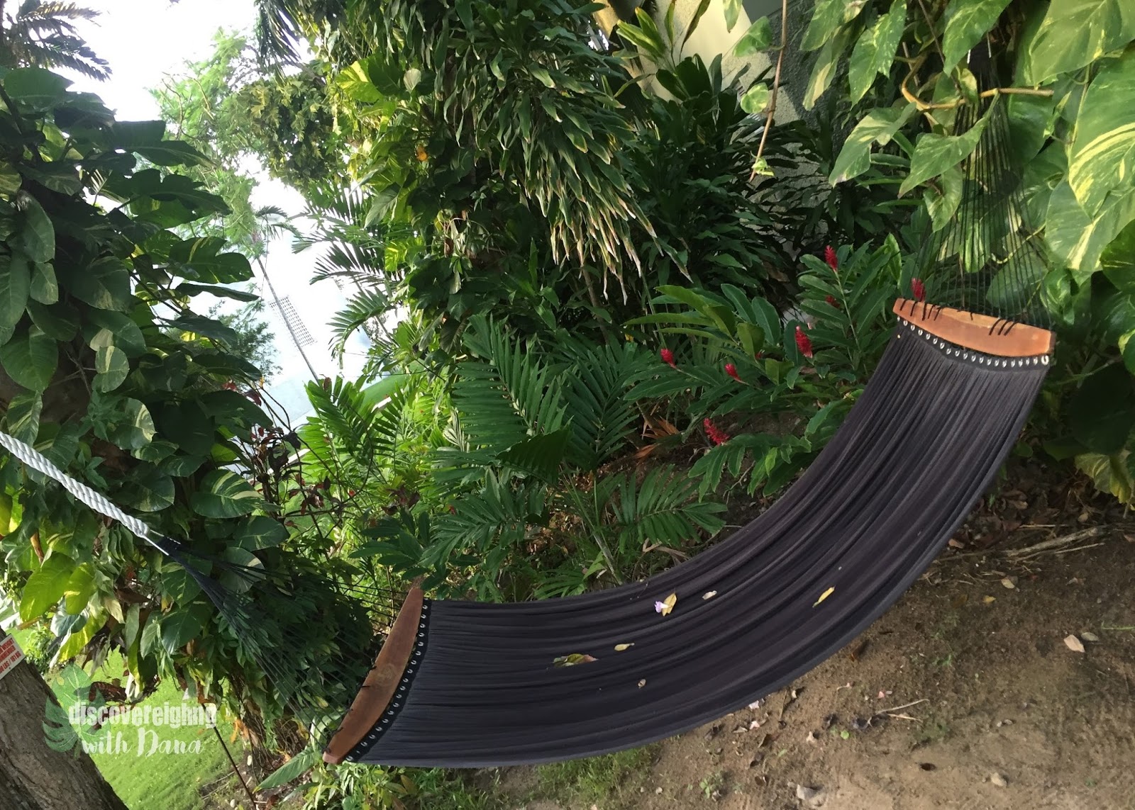 black and red ugg slippers
